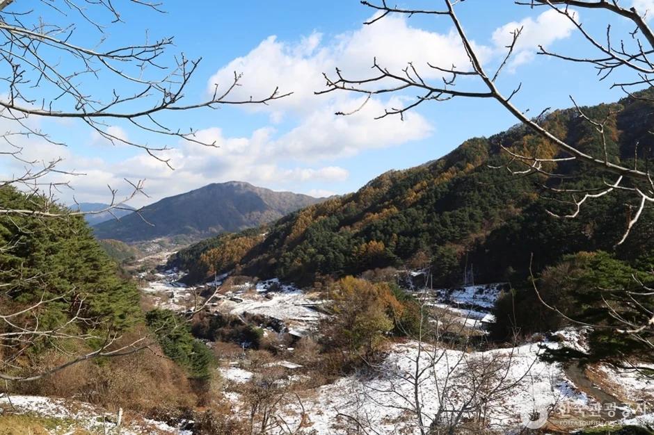 함양 국립 지리산자연휴양림, 예약 방법과 주변 맛집 정보
