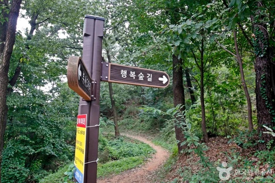 보문산 행복 숲 둘레길, 대전 중구 걷기 코스와 주차 정보
